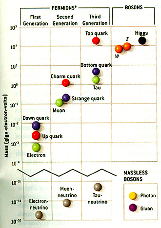 The mass-dependent classification of elementary particles and forces.